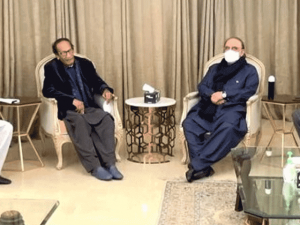 zardarimeetshujaa