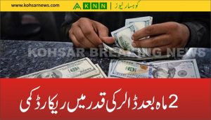 doller