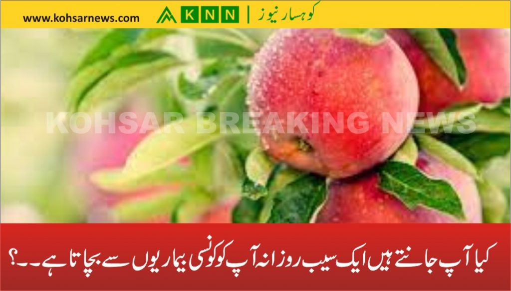 کیا آپ جانتے ہیں ایک سیب روزانہ آپ کو کونسی بیماریوں سے بچاتا ہے۔۔؟