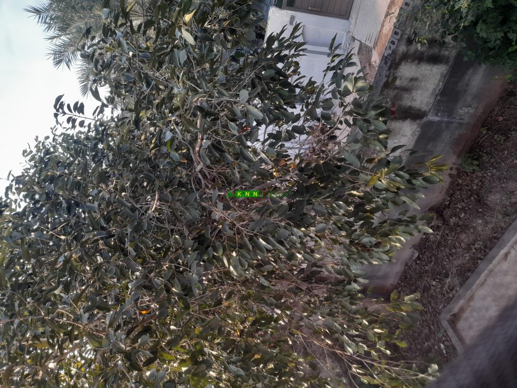 20221027 160645