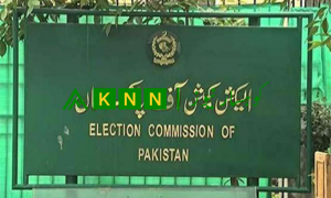 election