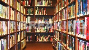 images 29 1