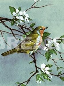 images 55