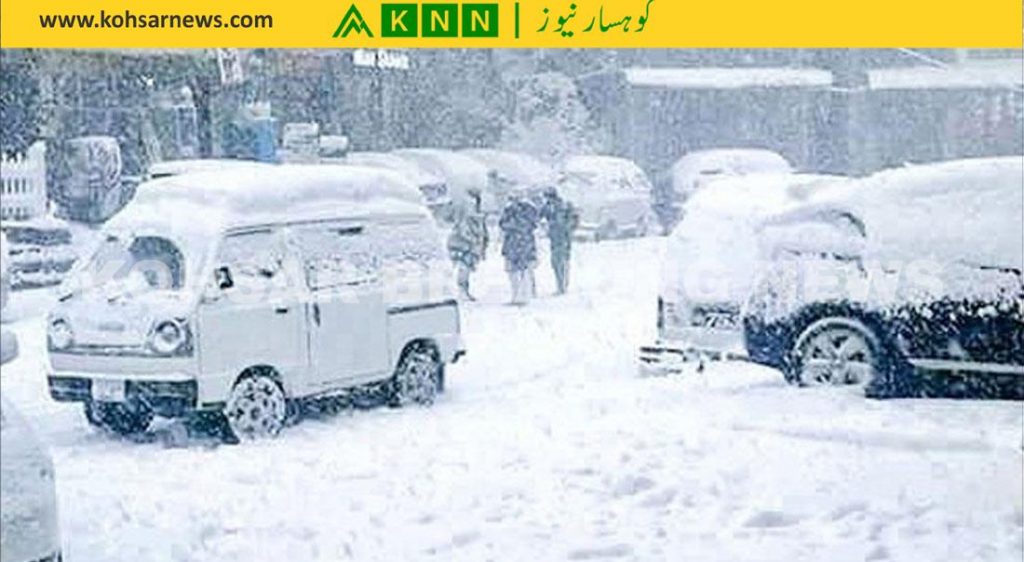 muree