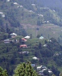 images 8 1