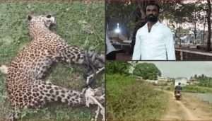 نوجوان کی تیندوے سے لڑائی، چاروں پیر باندھ کر محکمہ جنگلات کے پاس لے گیا