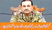 کسی کو قانون ہاتھ میں لینے کی اجازت نہیں دی جا سکتی،آرمی چیف