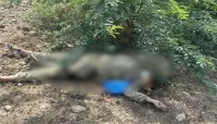 خیبرپختونخوا میں سیکیورٹی فورسز کا آپریشن، 8 دہشت گرد ہلاک