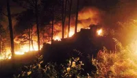 مری کے جنگلات آگ کی لپیٹ میں آ گئے