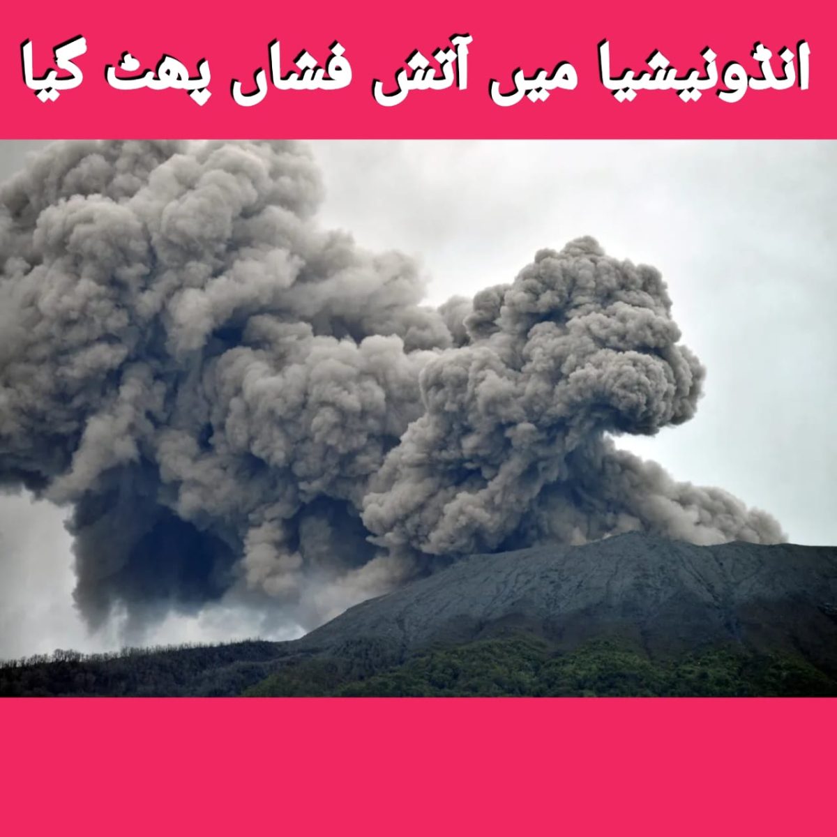 3ee5ad30 b1d2 42e7 a798 cf5250756e65