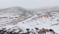 بلوچستان میں موسم سرما کی پہلی برفباری