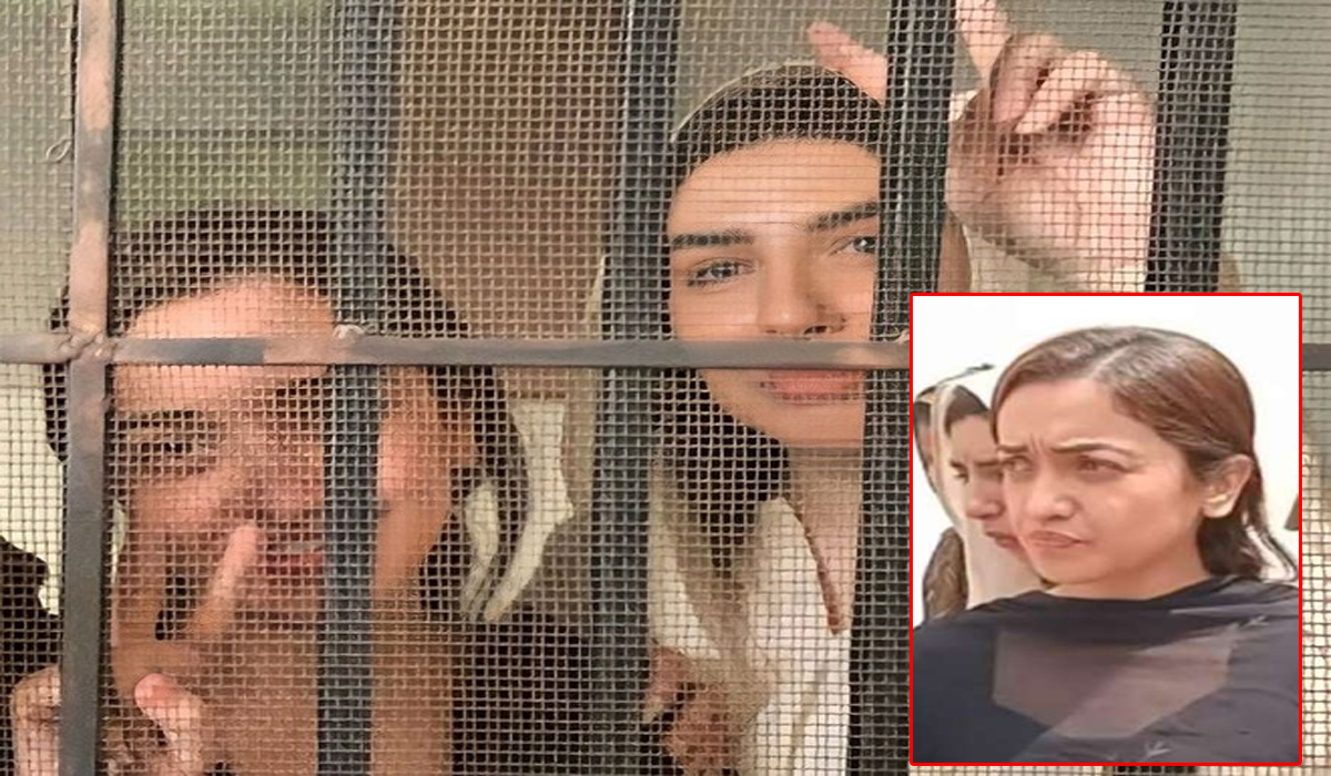 صنم جاوید اور محمد تنویر کی درخواست ضمانت منظور