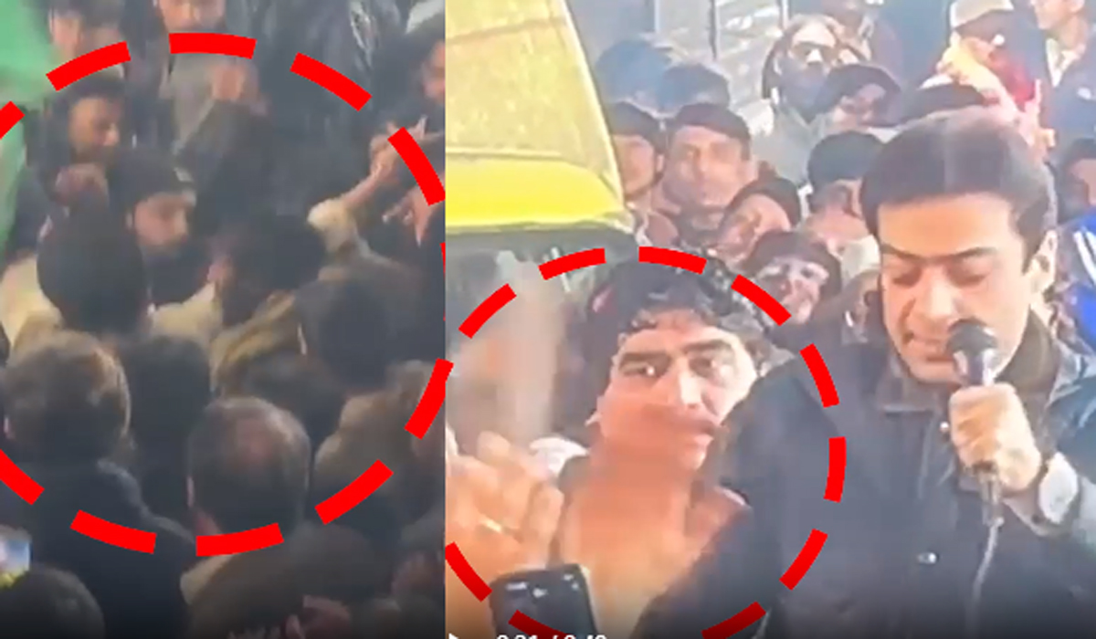 حمزہ شہباز کو دورانِ تقریر جوتا پڑ گیا