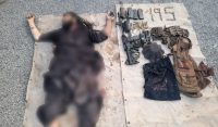 شمالی وزیرستان،سکیورٹی فورسز کا انٹیلی جنس بیس آپریشن، دہشت گرد ہلاک