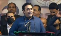 شیر بلی بن کر چھپ گیا، بلاول بھٹو