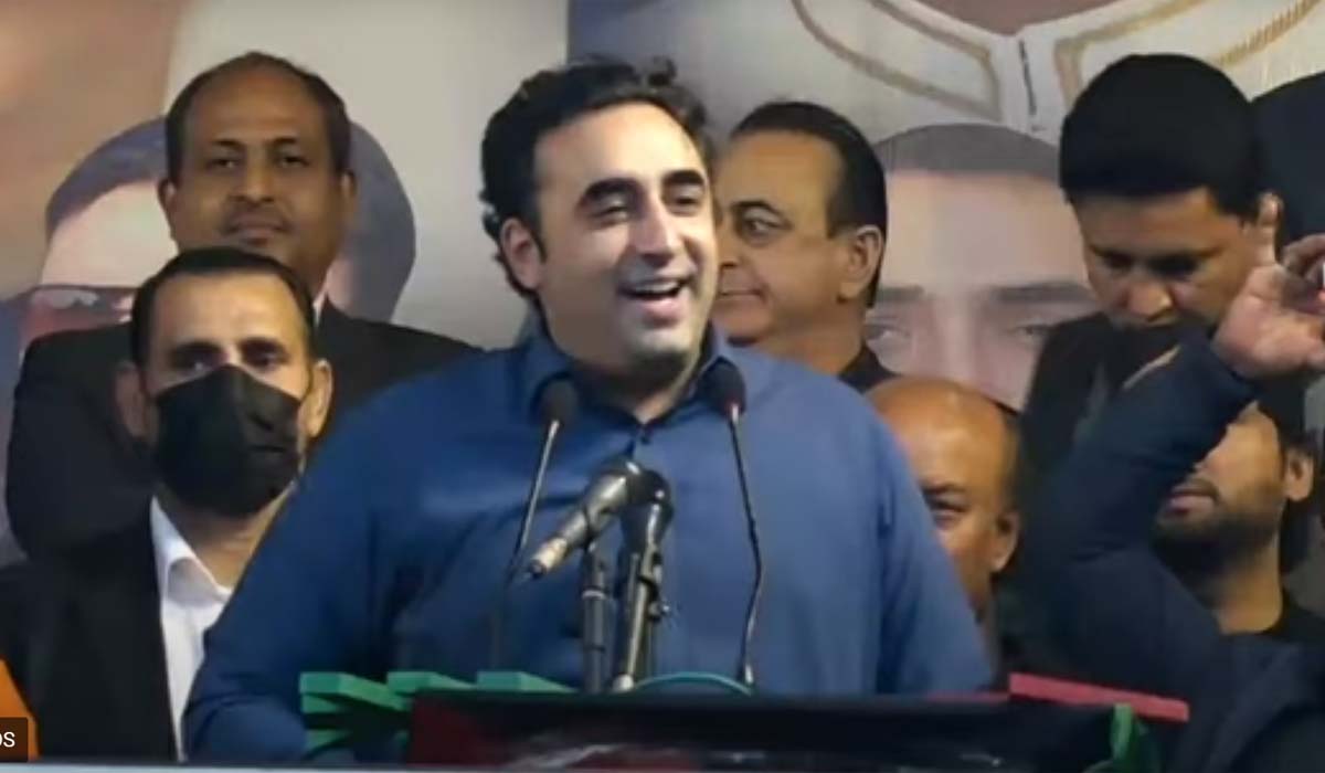 شیر بلی بن کر چھپ گیا، بلاول بھٹو