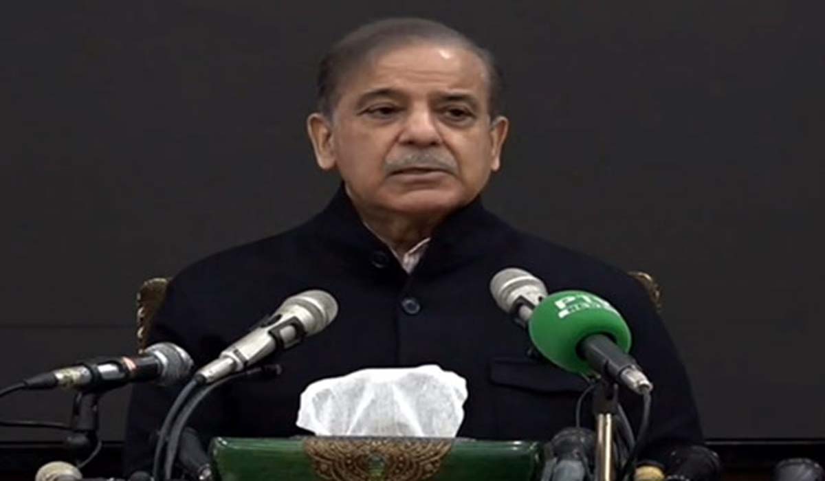 شہباز شریف کی پی ٹی آئی کے کامیاب آزاد اراکین کو حکومت بنانے کی دعوت