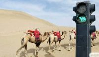 چین کے ریگستان میں اونٹوں کیلئے ٹریفک سگنلز نصب