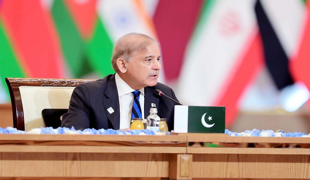 شہباز شریف کا فلسطین میں فوری غیر مشروط جنگ بندی کا مطالبہ