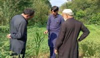 بکوٹ شریف گاؤں میں محکمہ زراعت کا دفتر قائم