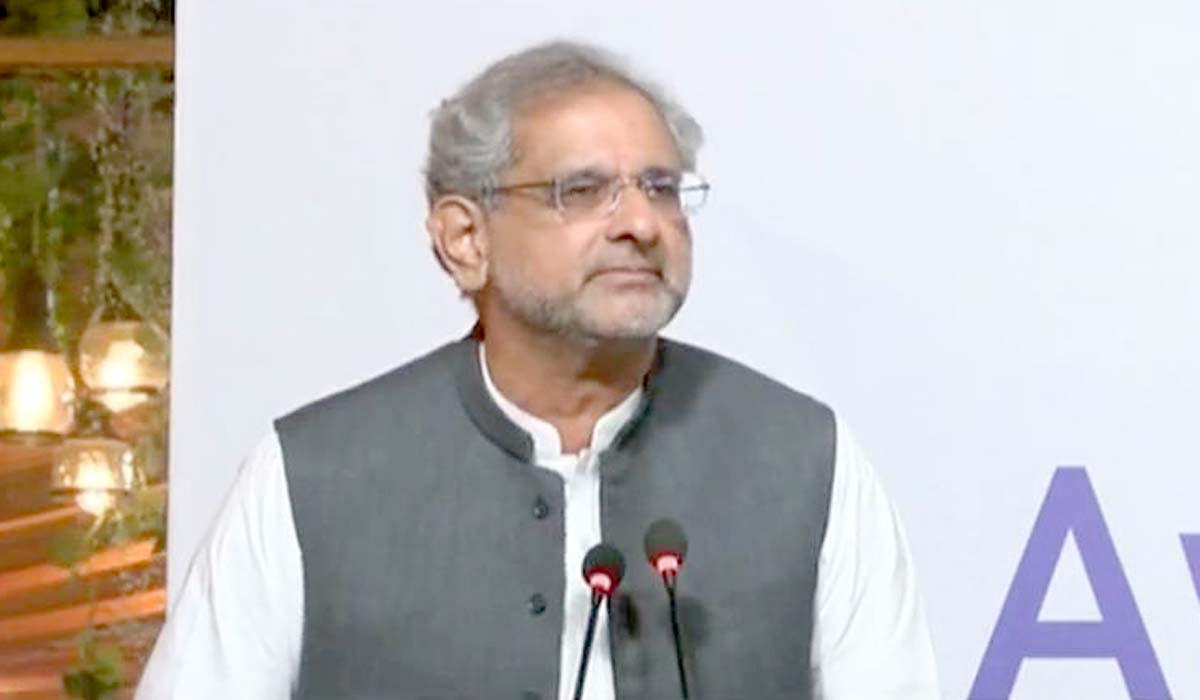 جس ملک میں الیکشن چوری ہوتا ہے وہاں استحکام نہیں آتا، شاہد خاقان