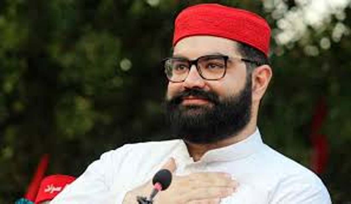 ہم صوبوں میں آئینی عدالت بنانے کے مخالف ہیں، ایمل ولی