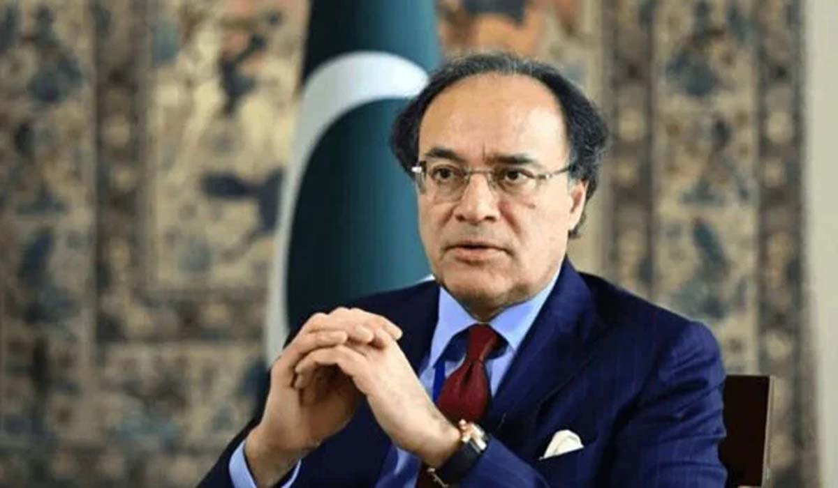 ملک عطیات سے نہیں ٹیکسوں پر چلتے ہیں،وفاقی وزیر خزانہ
