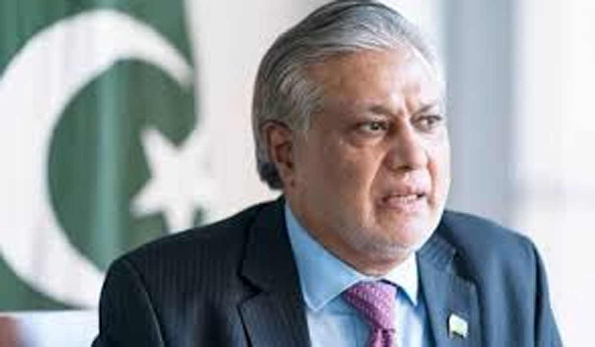پی ٹی آئی غیر ملکی وفد آمدپرکیوں احتجاج کرتی ہے؟اسحاق ڈار
