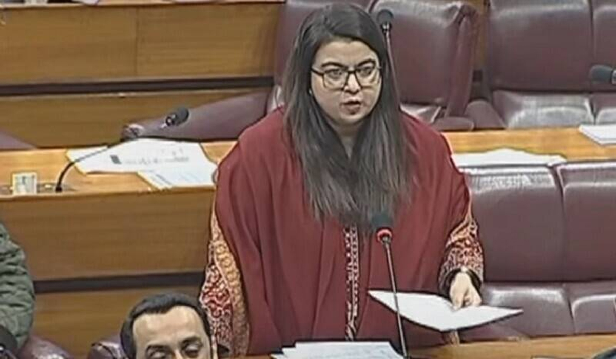 ڈیجیٹل نیشن پاکستان بل 2024 قومی اسمبلی میں پیش کردیا گیا