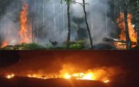 Fire breaks out in 3 forests adjacent to Murree, efforts underway to control it
