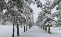 قصہ بیروٹ کی برف کا 