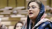 دہشت گرد باہر سے آپریٹ ہو رہے ہیں،عظمیٰ بخاری