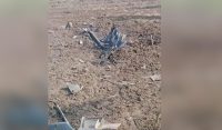 پاکستان نےمزید 3بھارتی ڈرون گرادیے