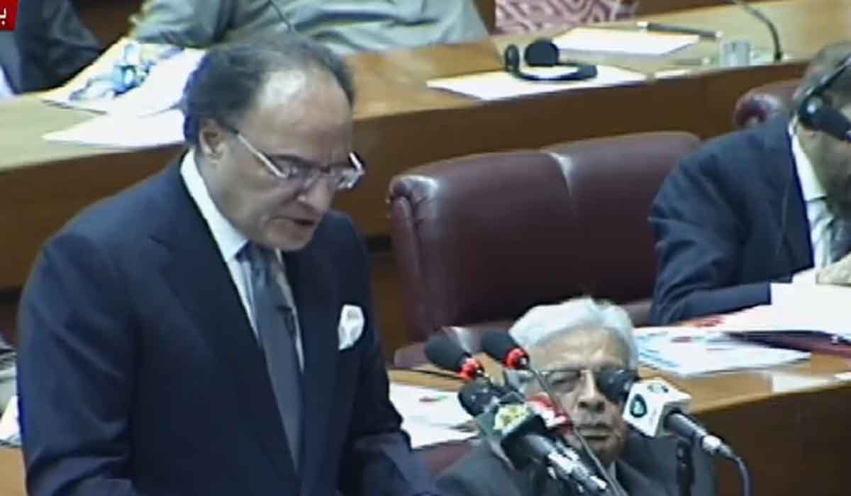 وزیر خزانہ بجٹ 26-2025 پیش کر رہے ہیں