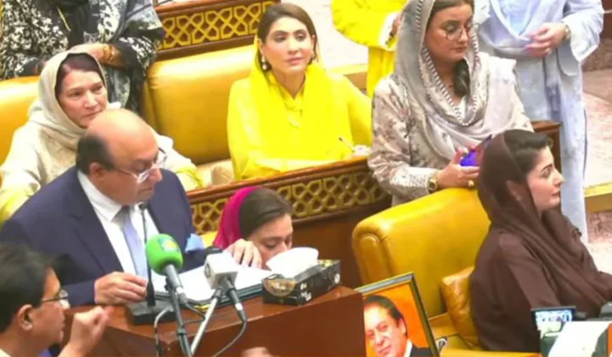 پنجاب کا بجٹ پیش،تنخواہوں میں 10 فیصد اضافہ