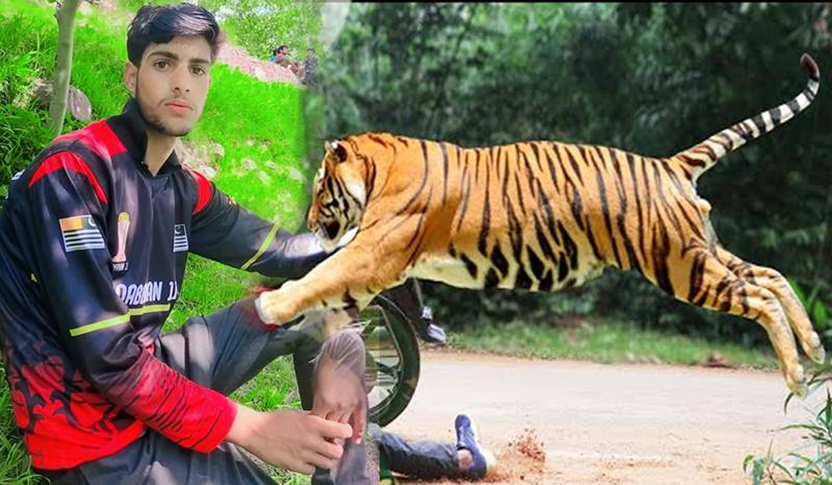 تیندوے کا دوسرا حملہ،دسویں جماعت کا طالب علم لہولہان