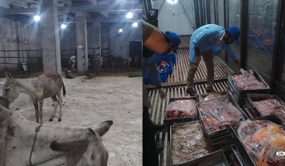 گدھوں کا گوشت کہاں کہاں تقسیم ہوا؟ بڑی خبر آگئی