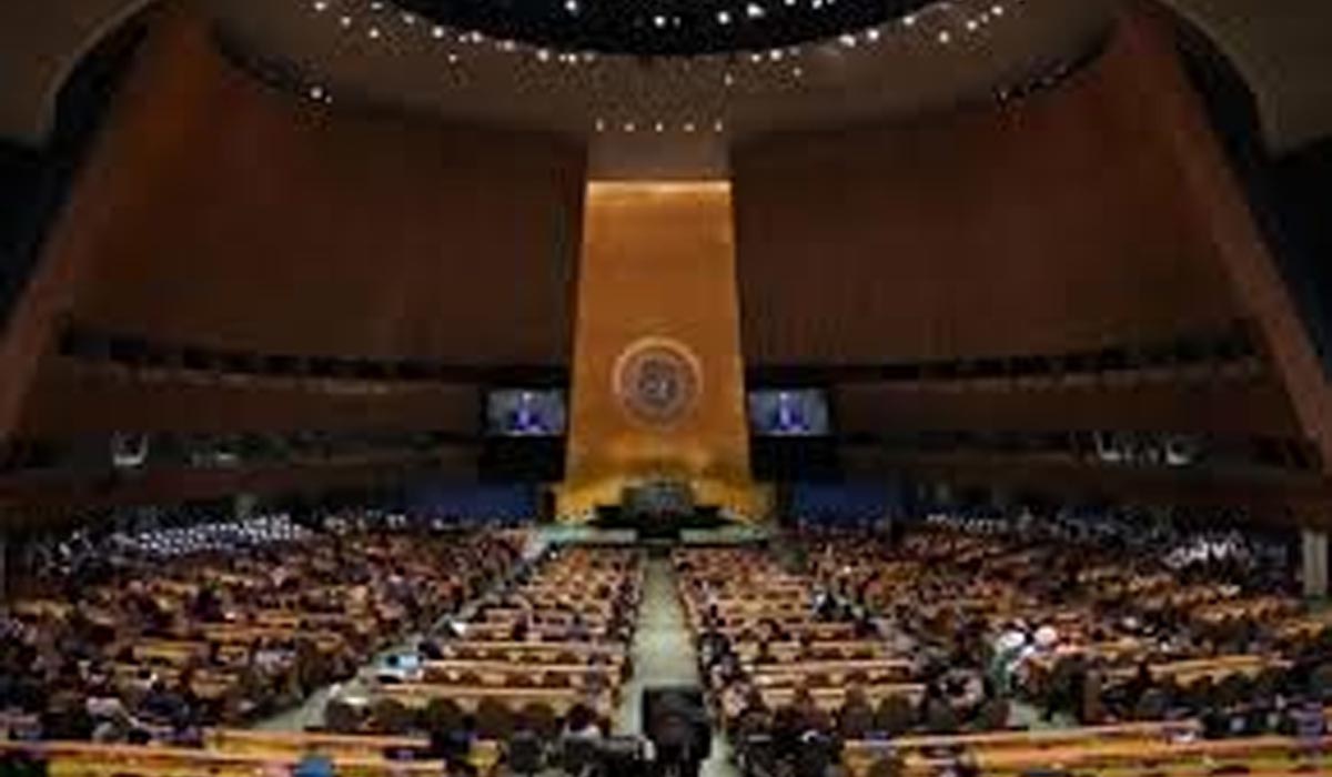 17 جنرل اسمبلی میں فلسطین کے دو ریاستی حل کی قرارداد منظور