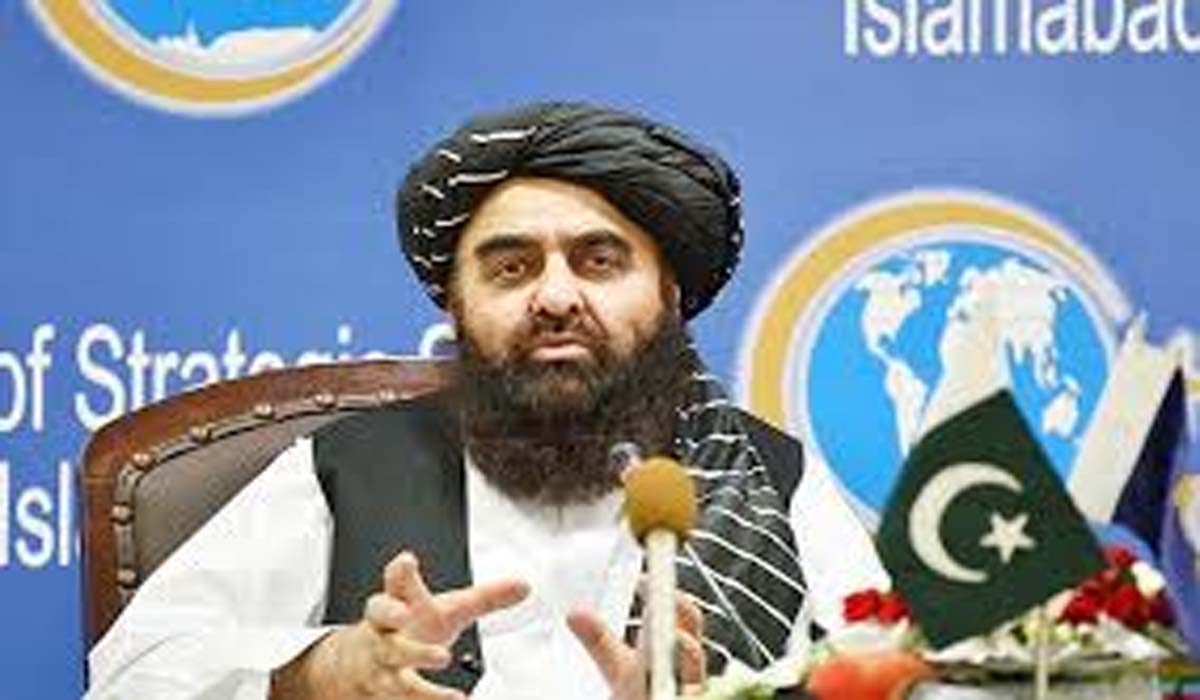 افغان وزیرِ خارجہ نے دھماکوں کی ذمہ داری پاکستان پر ڈال دی