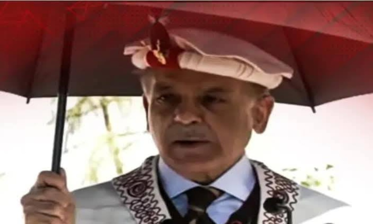 شہباز شریف کی سہیل آفریدی کو منصب سنبھالنے پر مبارکباد
