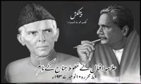 مائی ڈیر مسٹر جناح مائی ڈیر مسٹر جناح